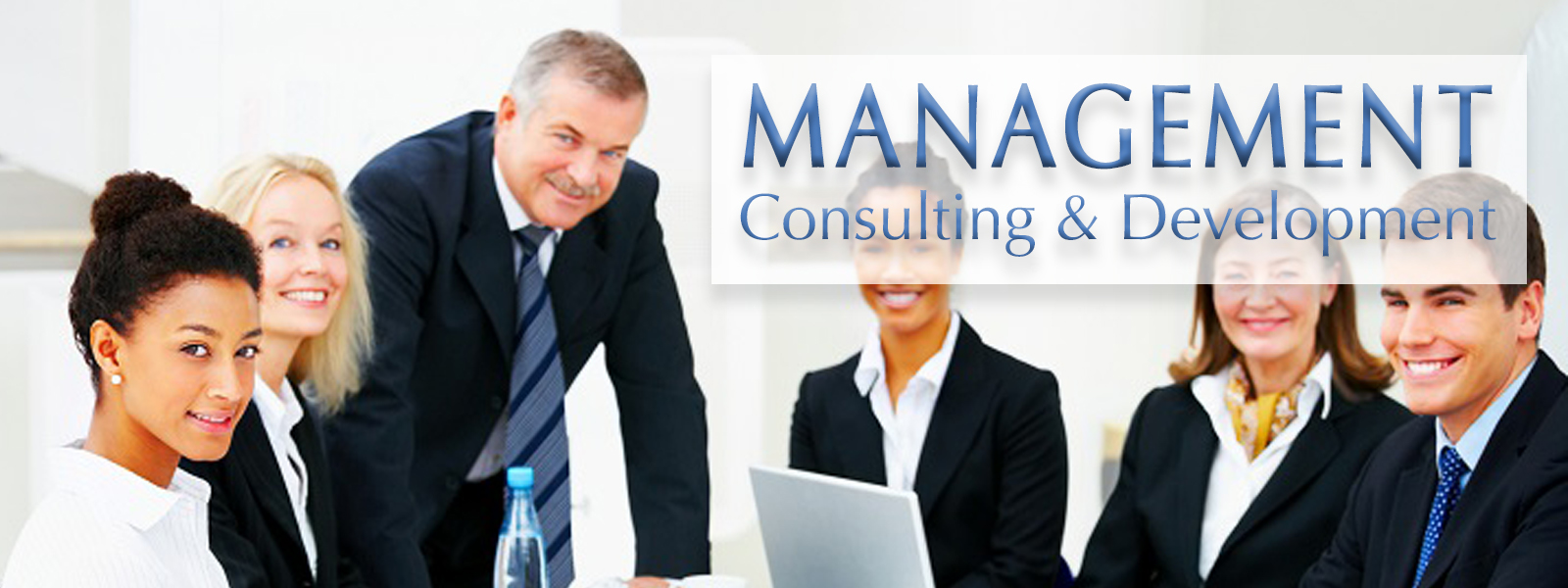 Camelot Enterprises, LLC - est. 1994 | Professional Business Management Consulting Services